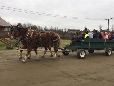 Horse & Buggy at Oxbow Park